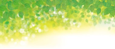 Vektör yeşil yapraklar bokeh arkaplan. Yeşil doğa arkaplanı.