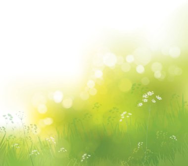 Vektör yeşil, bokeh, doğa arkaplan.