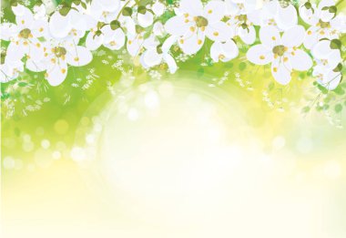 Vektör çiçekli arka plan. Beyaz çiçekler ve yapraklar yeşil bokeh arkaplan üzerinde sınır. 