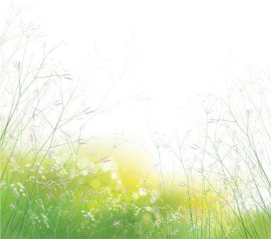 Vektör yazı, yeşil, doğa geçmişi. Çiçekler ve bitkiler yeşil, bokeh arka plan.