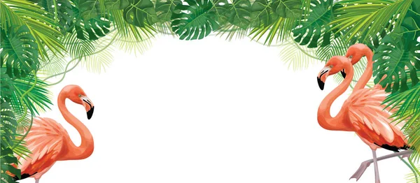 Vector Green Tropical Leaves Frame Flamingos Isolated White — Stock Vector