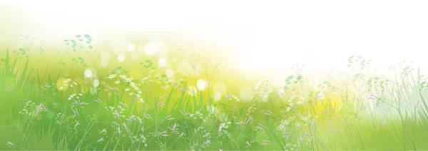 Vector Green Summer Nature Background — Stock Vector