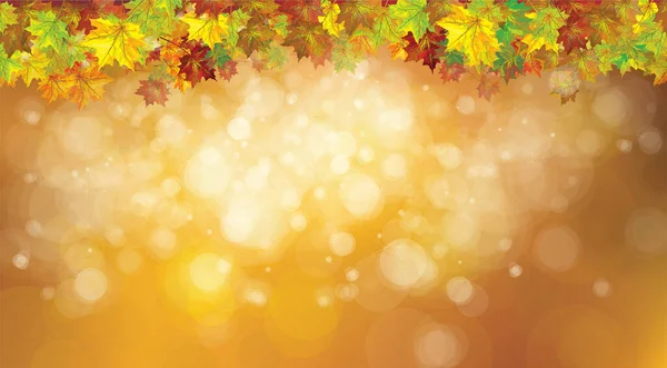 Herbstliche Vektor Ahornblätter Umranden Bokeh Goldener Hintergrund — Stockvektor