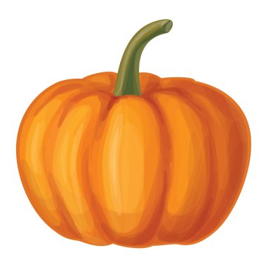 turuncu vektör kabak