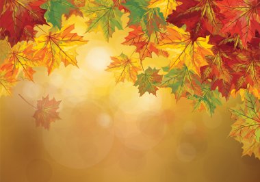 sonbahar vektör yaprak