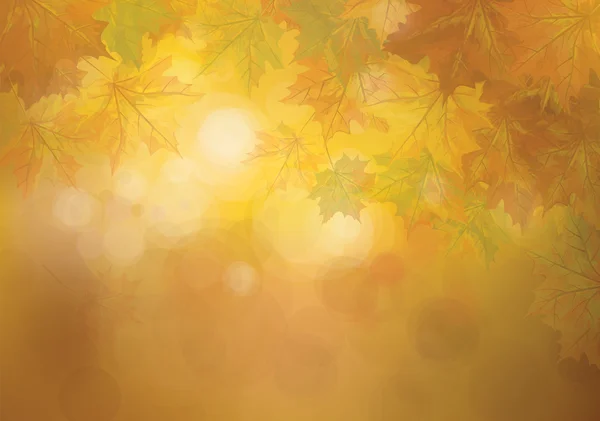 Vektor őszi levelek — Stock Vector