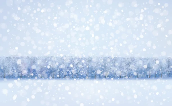 Paysage hivernal neige — Image vectorielle