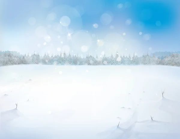 Snowy landscape with forest background — Stock Vector