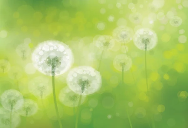 Spring  background with  dandelions. — Stock Vector