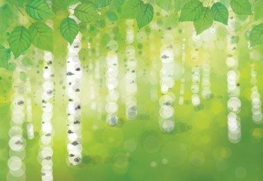 Yeşil orman manzarası.