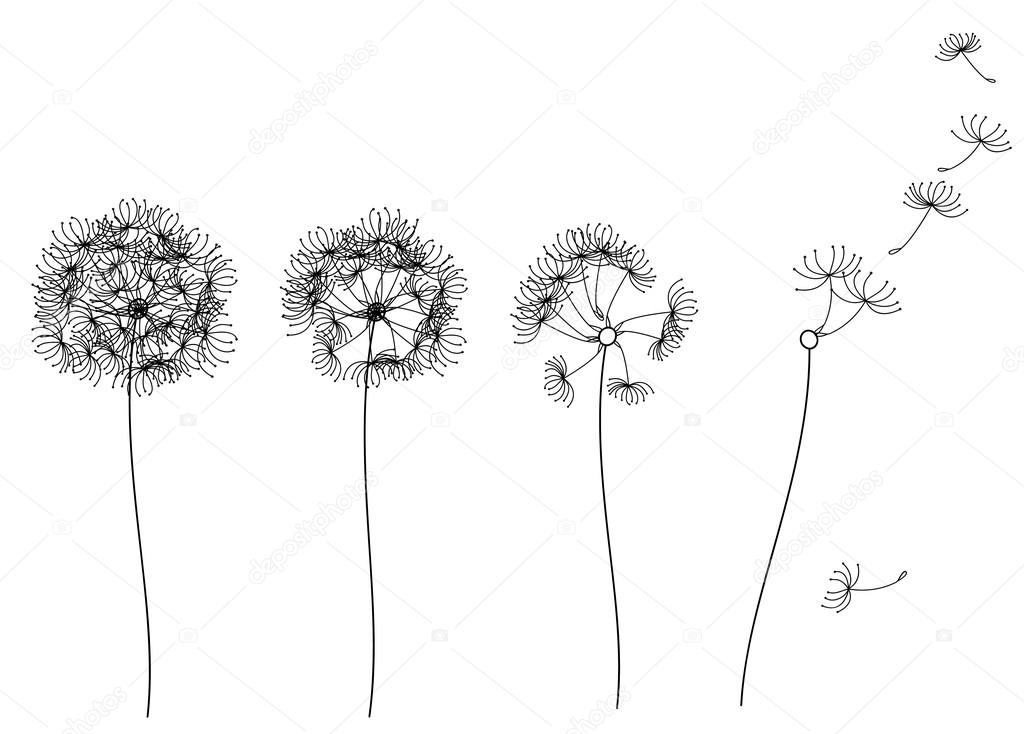 Abstract dandelions on white