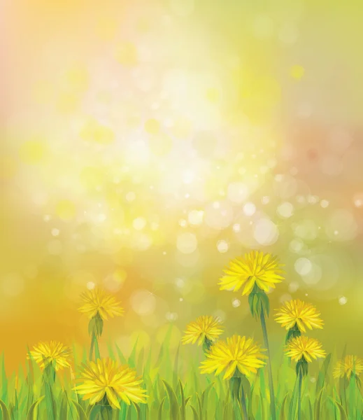 Spring background with yellow dandelions. — Stock Vector