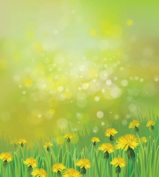 Spring background with yellow dandelions. — Stock Vector