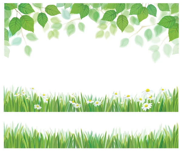 Birch leaves, grass and flowers frames — Stock Vector