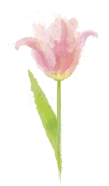 Τουλίπα ροζ λουλούδι — Διανυσματικό Αρχείο