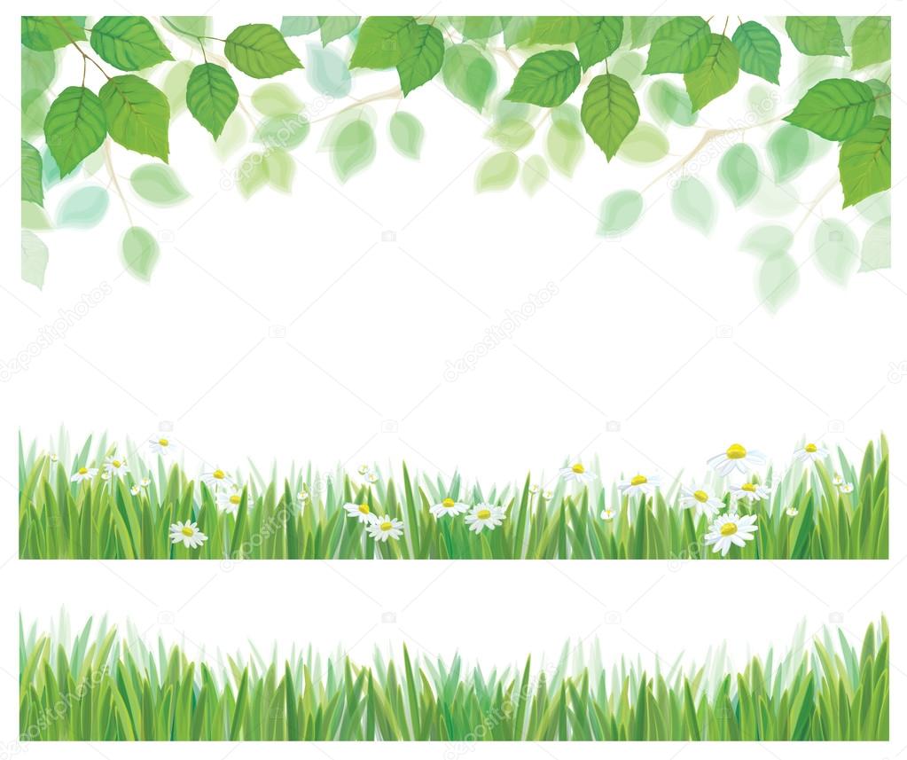 Birch leaves, grass and flowers frames