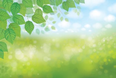 yeşil bahar doğası