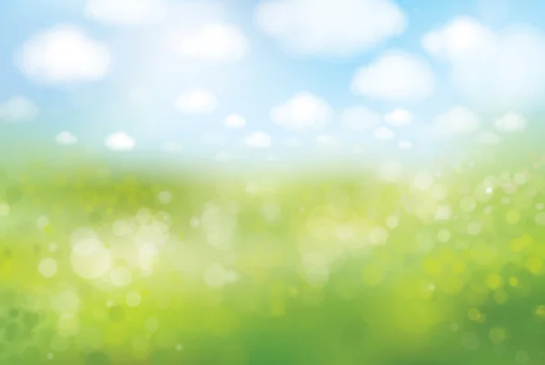 Campo de primavera bokeh — Vector de stock