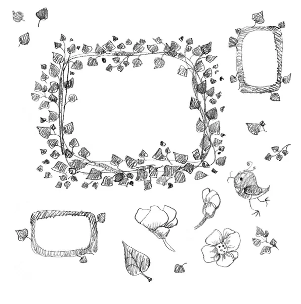 Hand drawn floral elements. — Stock Photo, Image