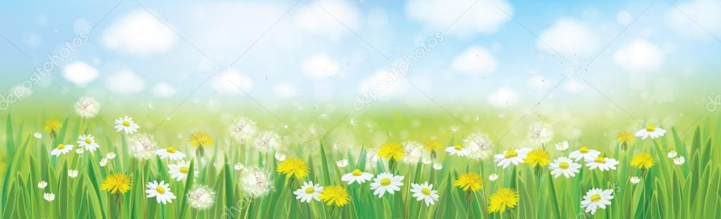 Nature  spring background.