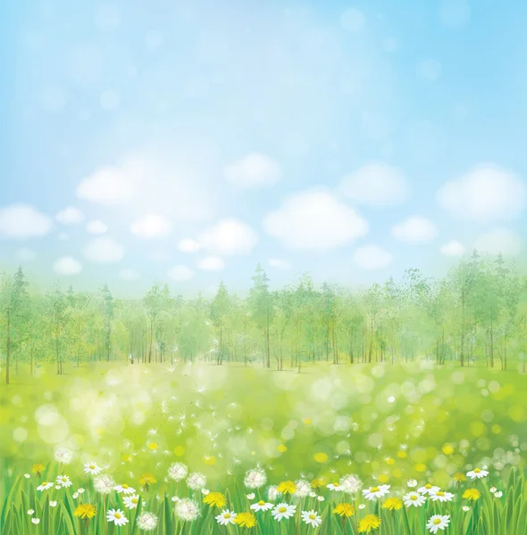Blossoming meadow with forest background. — Stock Vector