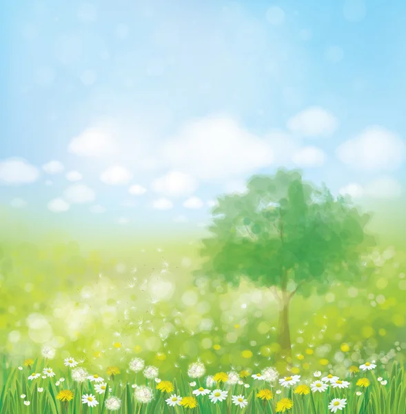 Bahar yeşil peyzaj.