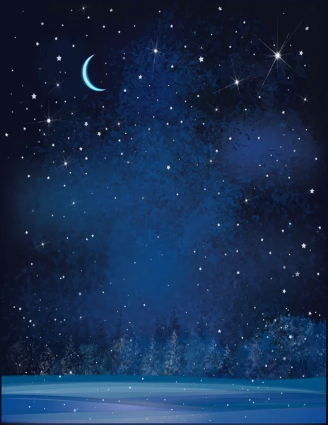 Winter night background — Stock Vector