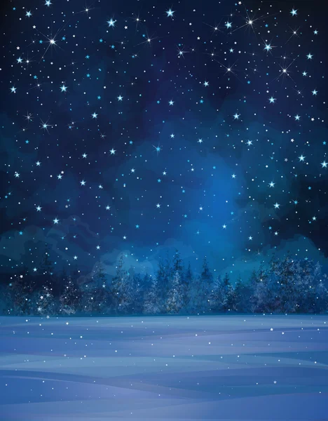 Céu estrelado, neve e floresta — Vetor de Stock