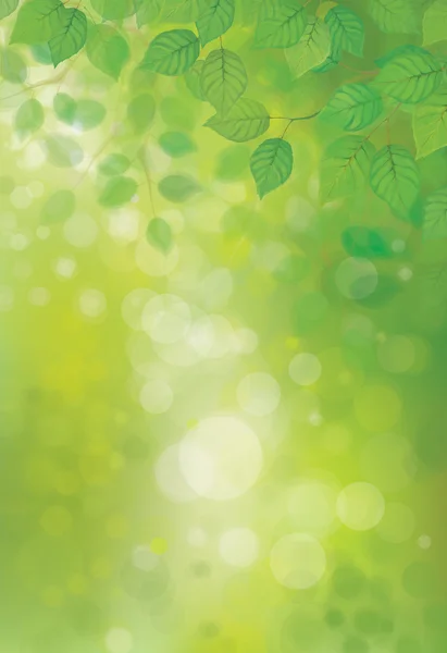Tavaszi zöld levelek — Stock Vector