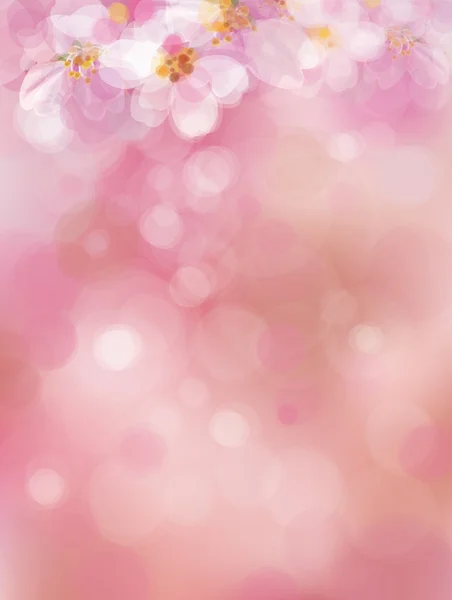 Çiçek açması sakura ağacı. — Stok Vektör