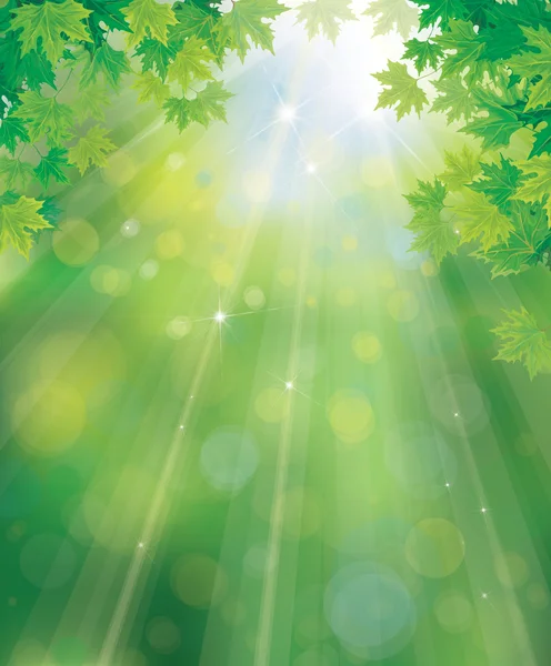 Green, spring background — Stock Vector