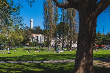San Francisco, ABD: 30 Mart 2019: Yerel halk Washington Meydanı 'nda güneşli günün tadını çıkarıyor