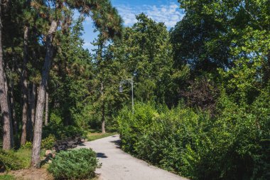 Sırbistan 'ın Novi Sad kentindeki Tuna Parkı' nda Manzara