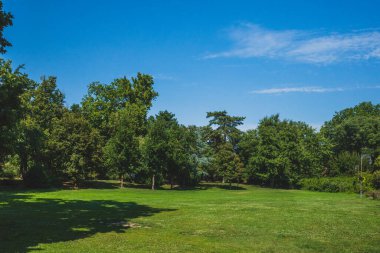 Sırbistan 'ın Novi Sad kentindeki Tuna Parkı' nda Manzara