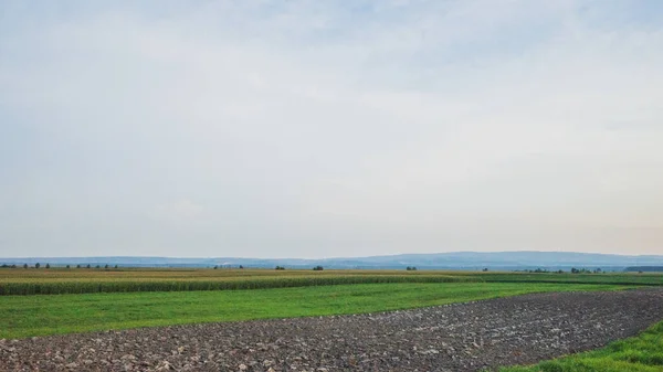 View of countryside landscape near Novi Sad, Serbia