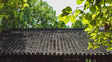 Çin 'in Jiangsu, Suzhou kentindeki Tiger Hill' deki (Huqiu) ağaçların altındaki geleneksel Çin evinin çatısında.