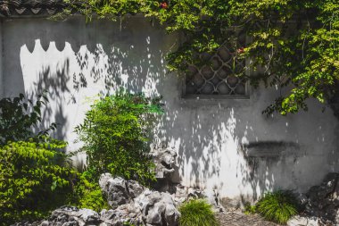 Suzhou, Jiangsu, Çin 'deki Tiger Hill' deki (Huqiu) beyaz duvarın önünde bitkiler