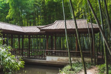 Kaplan Tepesi 'ndeki (Huqiu) bambu ormanlarında geleneksel ev Suzhou, Jiangsu, Çin