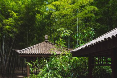 Kaplan Tepesi 'ndeki (Huqiu) bambu ormanlarında geleneksel ev Suzhou, Jiangsu, Çin
