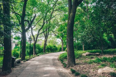 Kaplan Tepesi 'ndeki (Huqiu) ağaçlar arasındaki yol Suzhou, Jiangsu, Çin