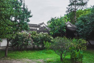 Çin 'in Jiangsu kentindeki Suzhou Bahçesi Sahne Bölgesi' ndeki ağaçlar arasındaki geleneksel Çin mimarisi.