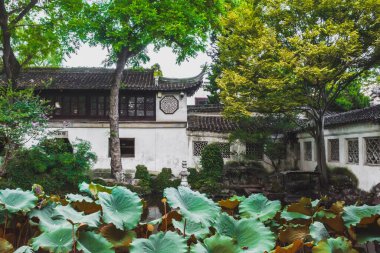 Suzhou, Jiangsu, Çin 'deki Nilüfer yaprakları ve geleneksel Çin mimarisi...