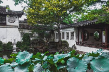 Suzhou, Jiangsu, Çin 'deki Nilüfer yaprakları ve geleneksel Çin mimarisi...