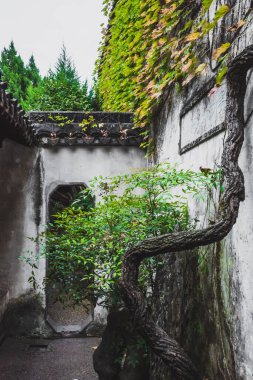 Suzhou, Jiangsu, Çin 'deki Oyalanan Bahçe Sahne Alanı' nda ağaçların arkasındaki dar kapı.
