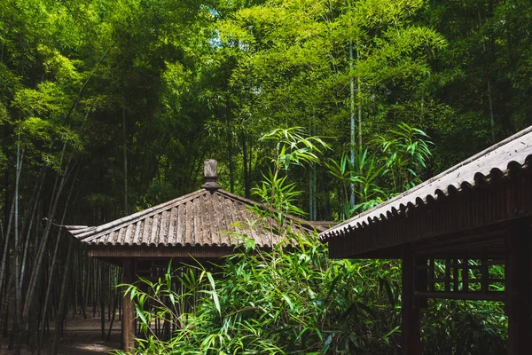 Tradiční Dům Bambusovém Lese Tiger Hill Huqiu Suzhou Jiangsu Čína — Stock fotografie