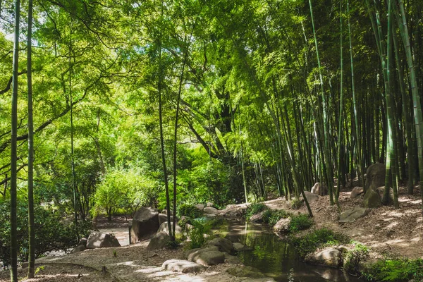 Potok Bambusovém Lese Tiger Hill Huqiu Suzhou Ťiang Čína — Stock fotografie