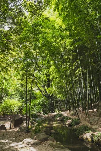 Potok Bambusovém Lese Tiger Hill Huqiu Suzhou Ťiang Čína — Stock fotografie