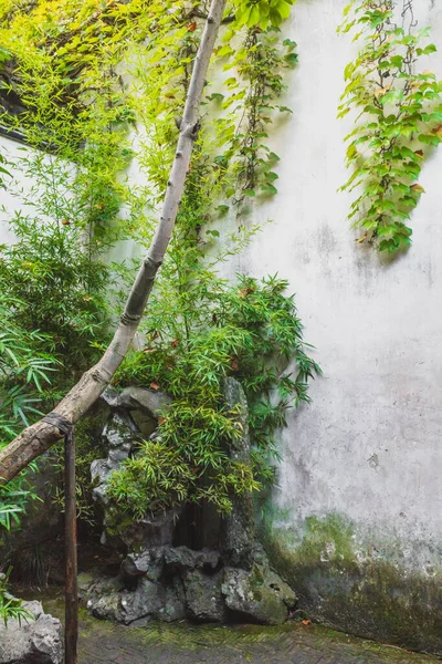 Bomen Rotsen Door Witte Muur Bij Lingering Garden Scenic Area — Stockfoto