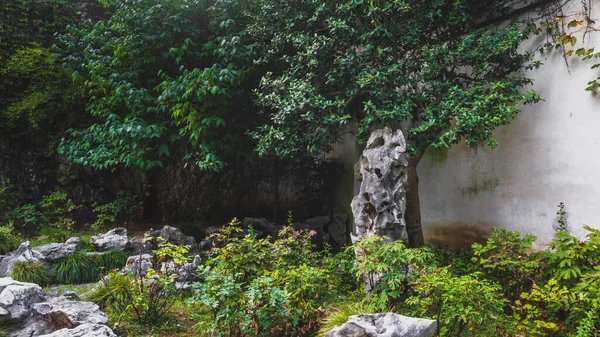 Suzhou, Jiangsu, Çin 'deki Aralıksız Bahçe Sahne Bölgesi' ndeki dev kaya ve ağaçlar.