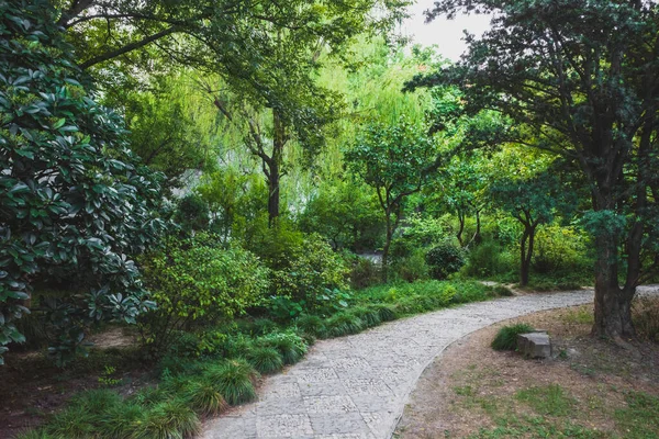 Chemin Entre Les Arbres Dans Zone Pittoresque Jardin Persistant Suzhou — Photo